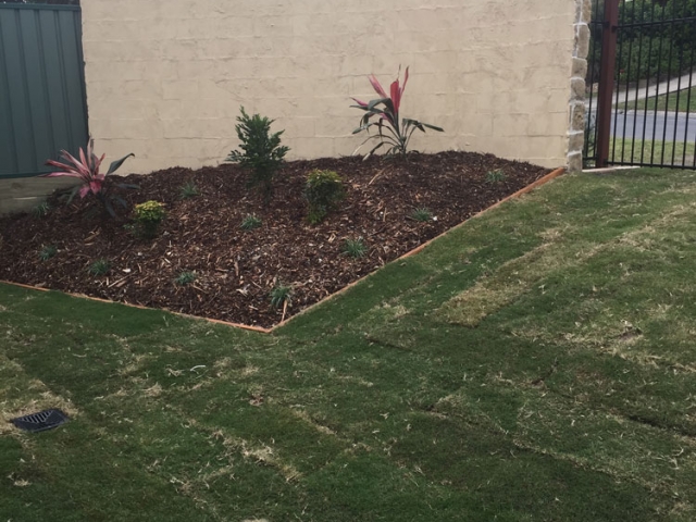 After - Concrete Fencing-Landscaping-Harold Projects-Brisbane After - Concrete Fencing-Landscaping-Harold Projects-Brisbane